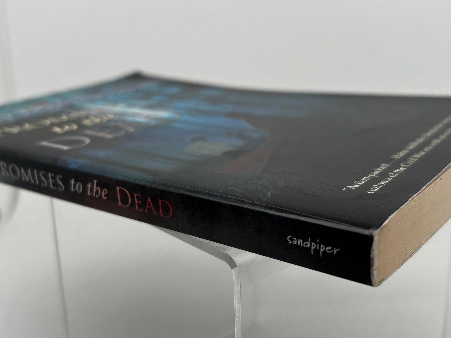 Promises Of The Dead SANDPIPER Paperback Mary Downing Hahn SF12