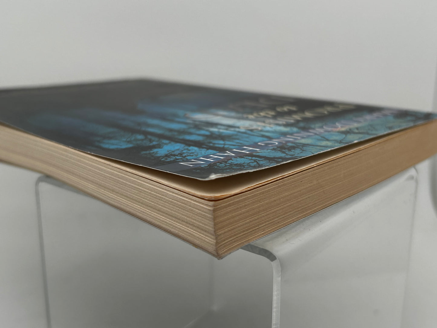 Promises Of The Dead SANDPIPER Paperback Mary Downing Hahn SF12