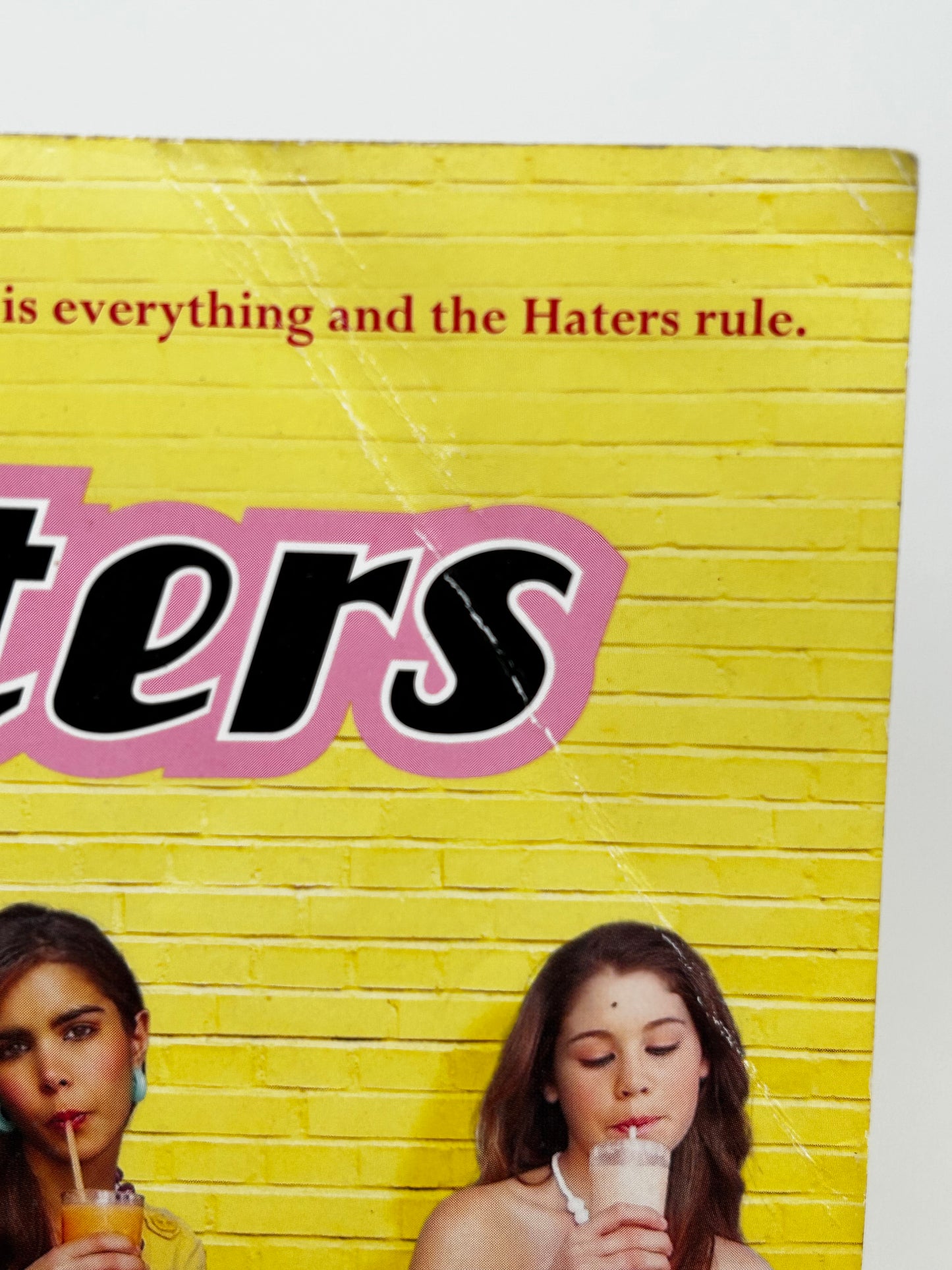 Haters HACHETTE Paperback Alisa Valdes-Rodriguez SF12