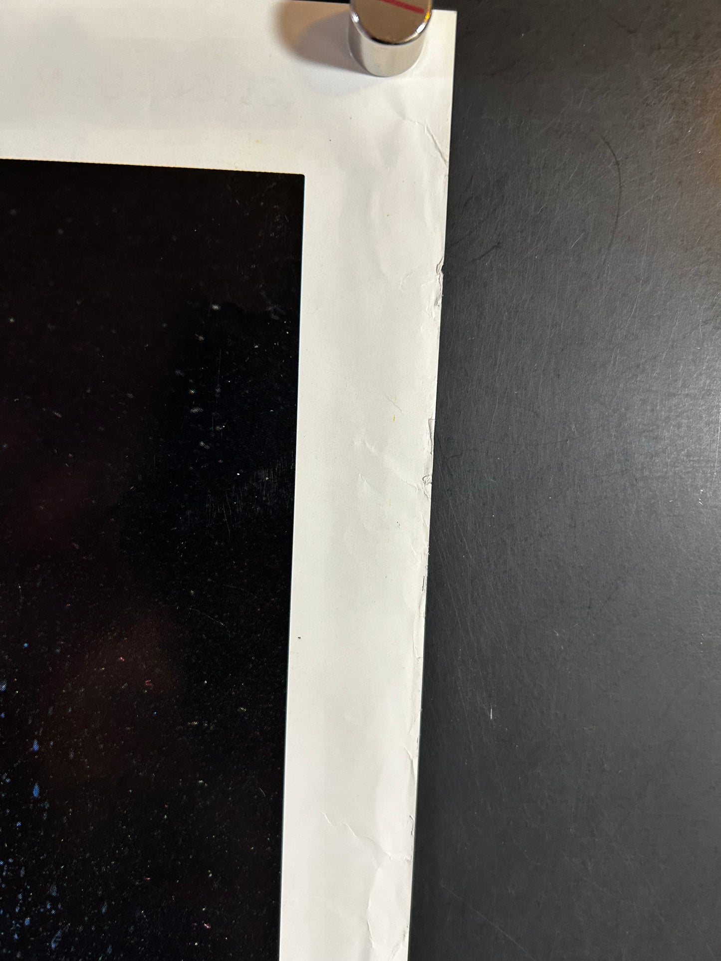 Wild Life Original One Sheet Poster 1984