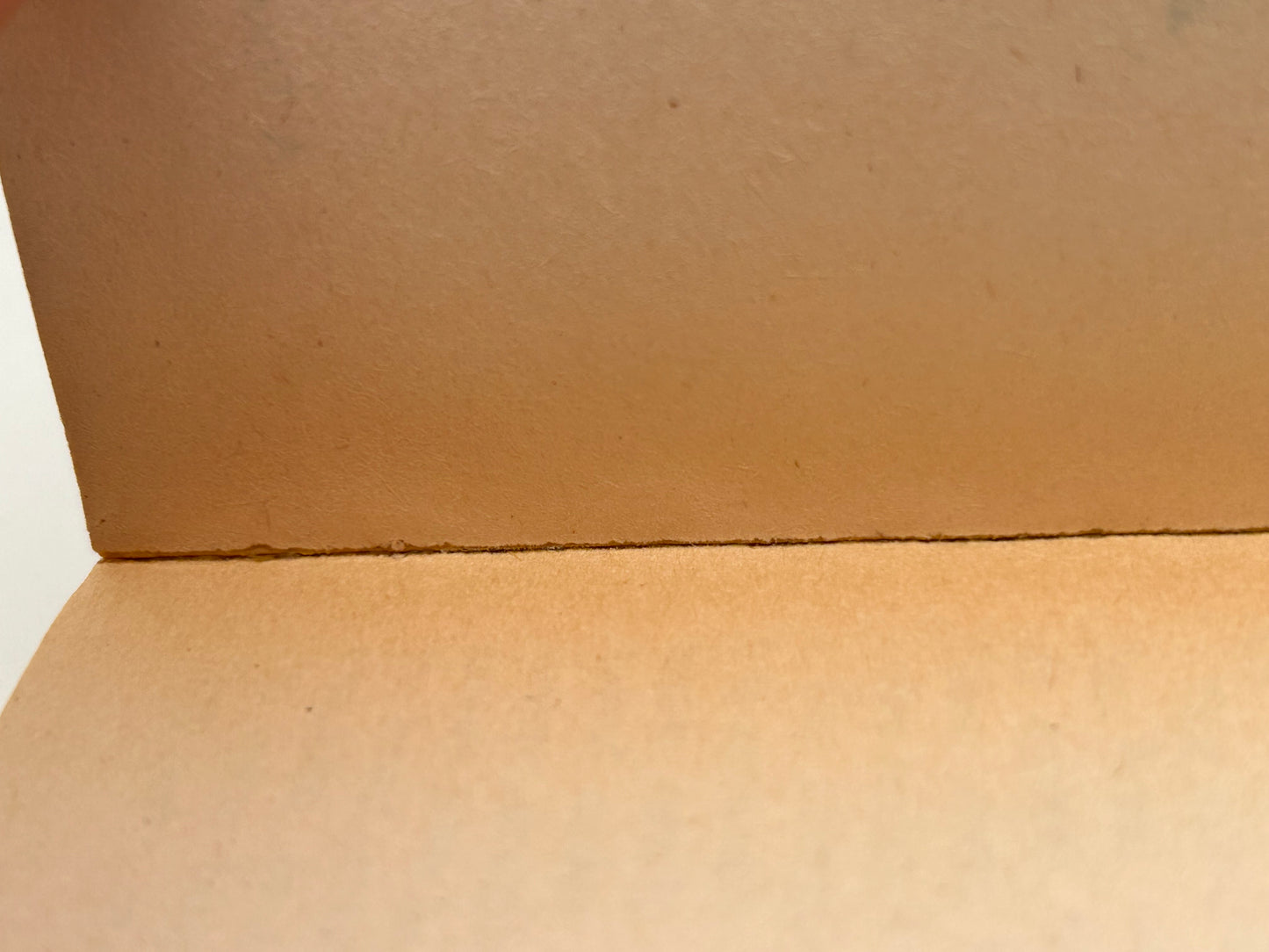 Time Patrolman TOR Paperback Poul Anderson SF04