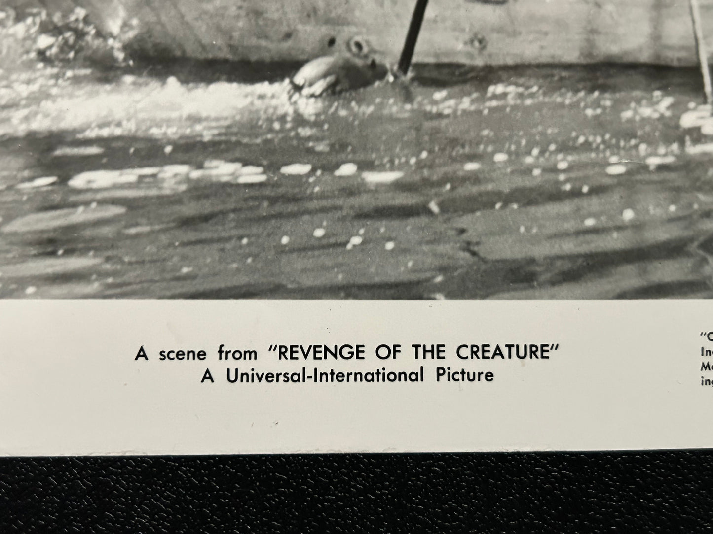 Revenge Of The Creature 8x10 B+W Still 1955