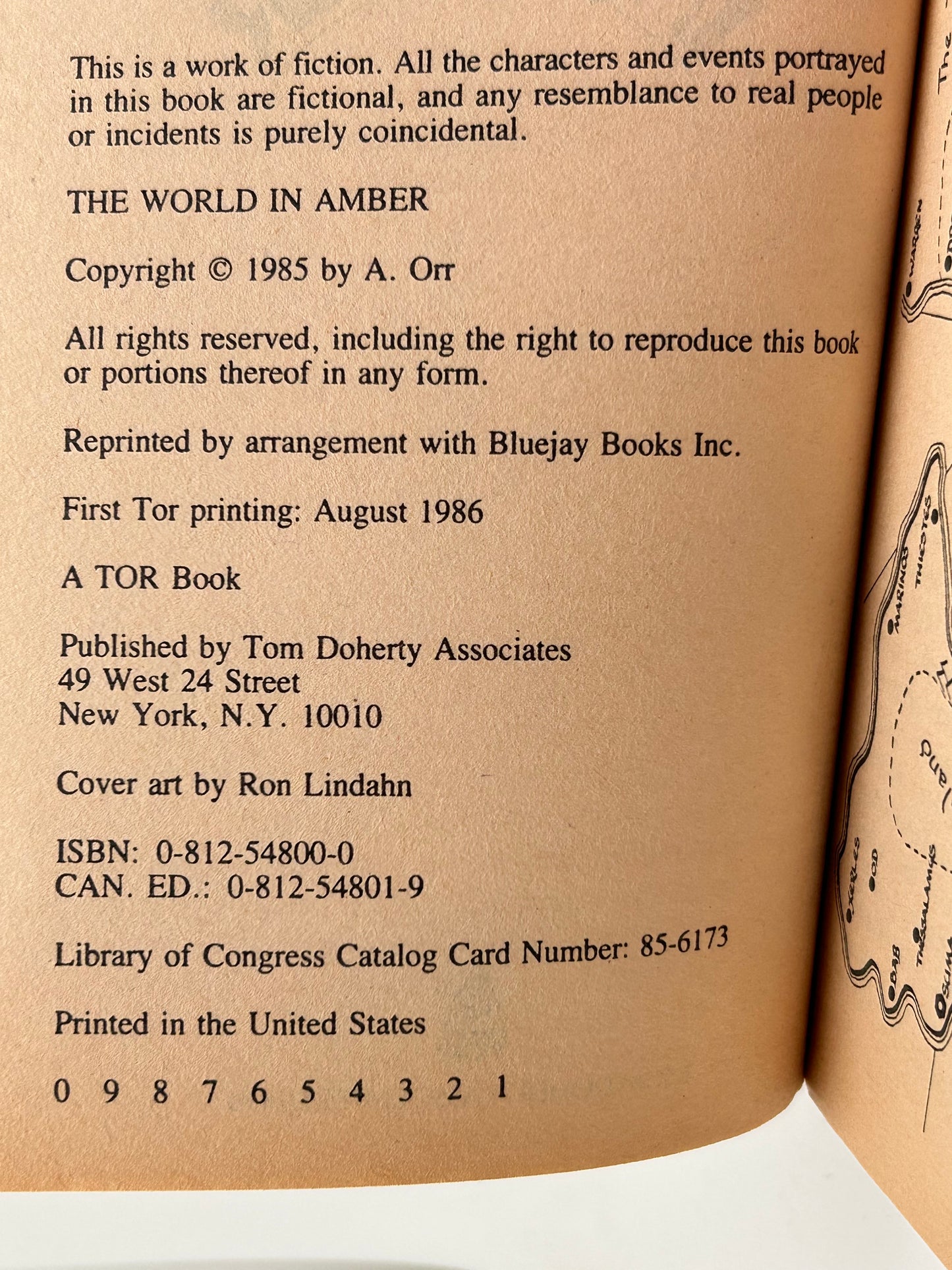 World In Amber TOR Paperback A. Orr SF04