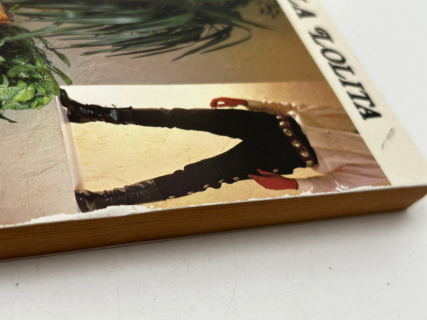 La Lolita CARROLL & GRAF Paperback Faustino Perez HS4