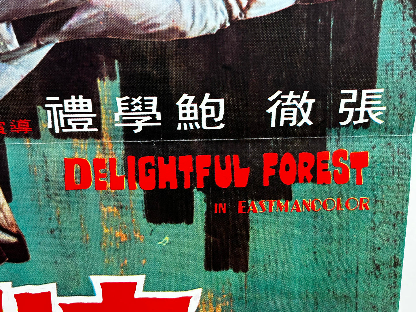 Delightful Forest Original Hong Kong Poster 1972 Shaw Bros.!