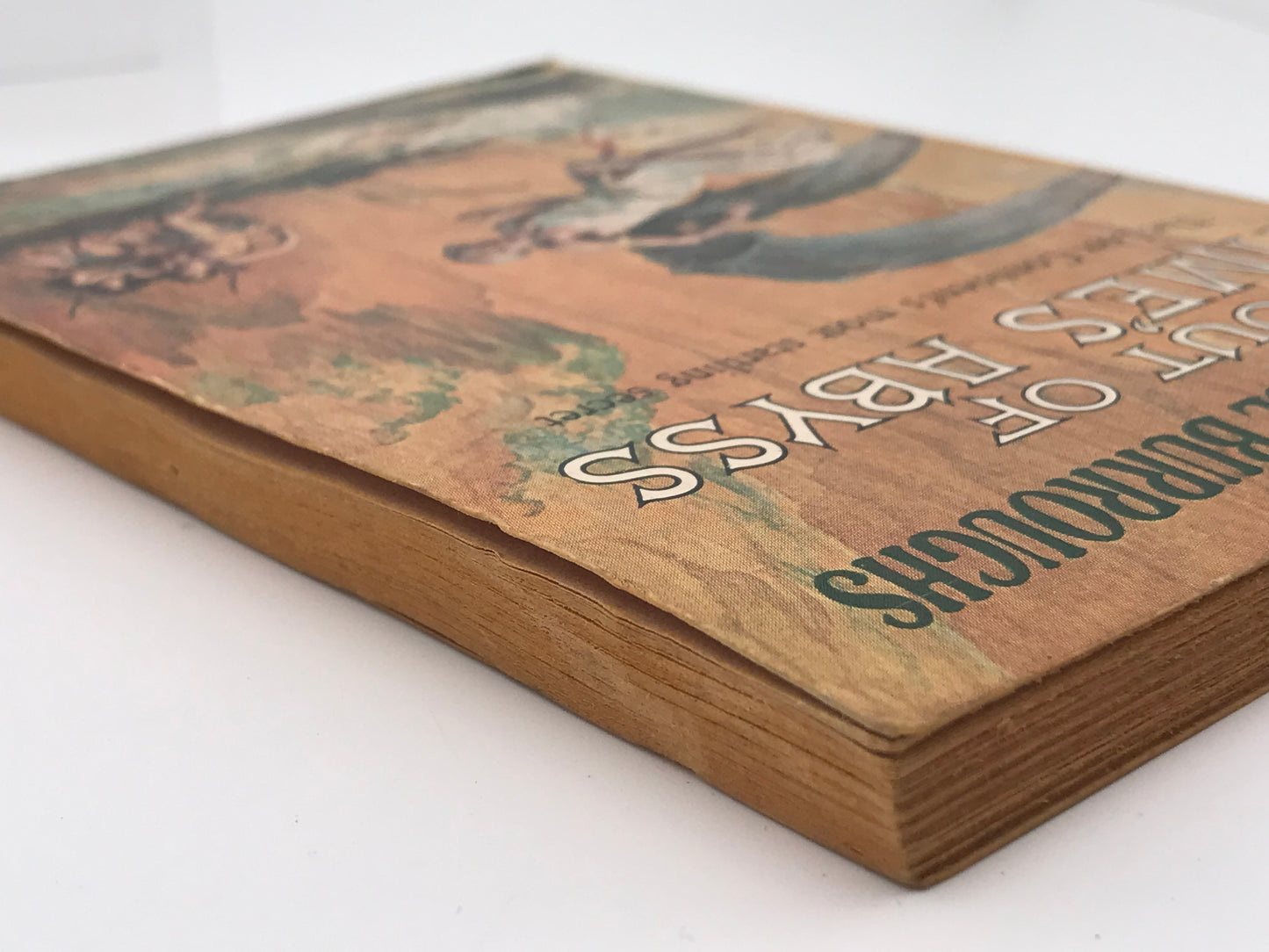 Out of Time's Abyss ACE Paperback Edgar Rice Burroughs SF01