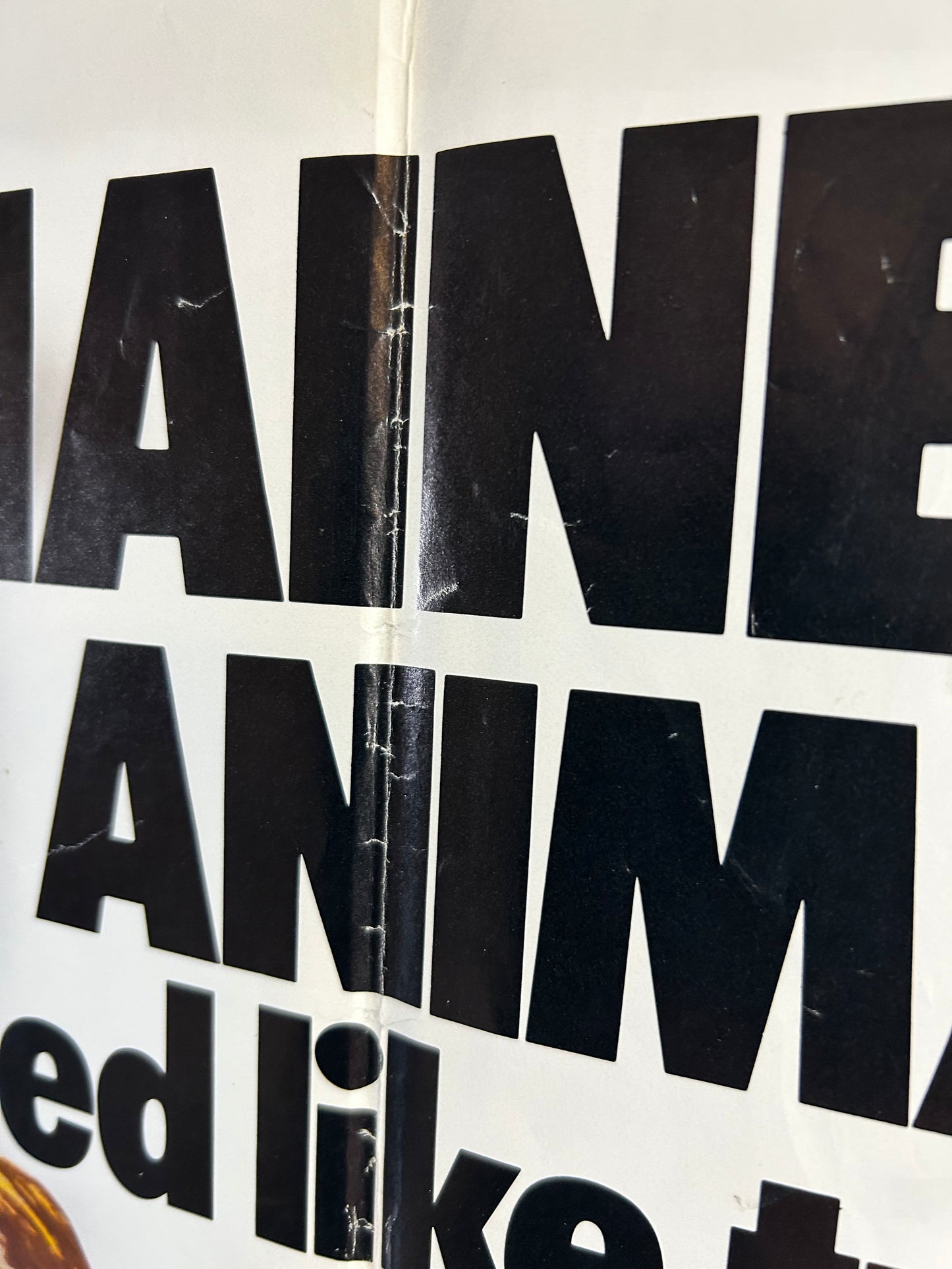 Chain Gang Women Original One Sheet Poster 1971