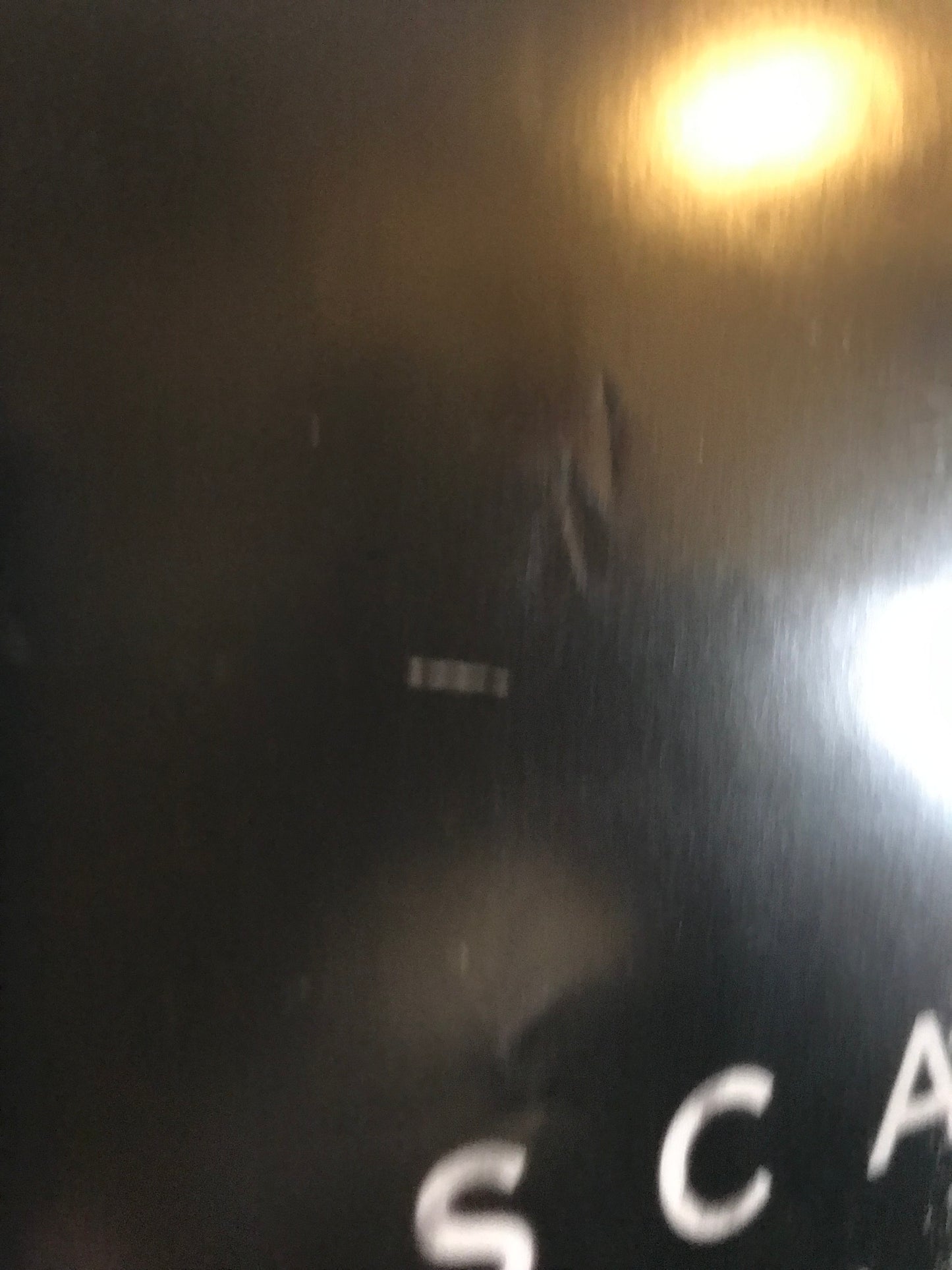 Woods Original One Sheet Teaser Poster 2016 Blair Witch Sequel Alternate Title