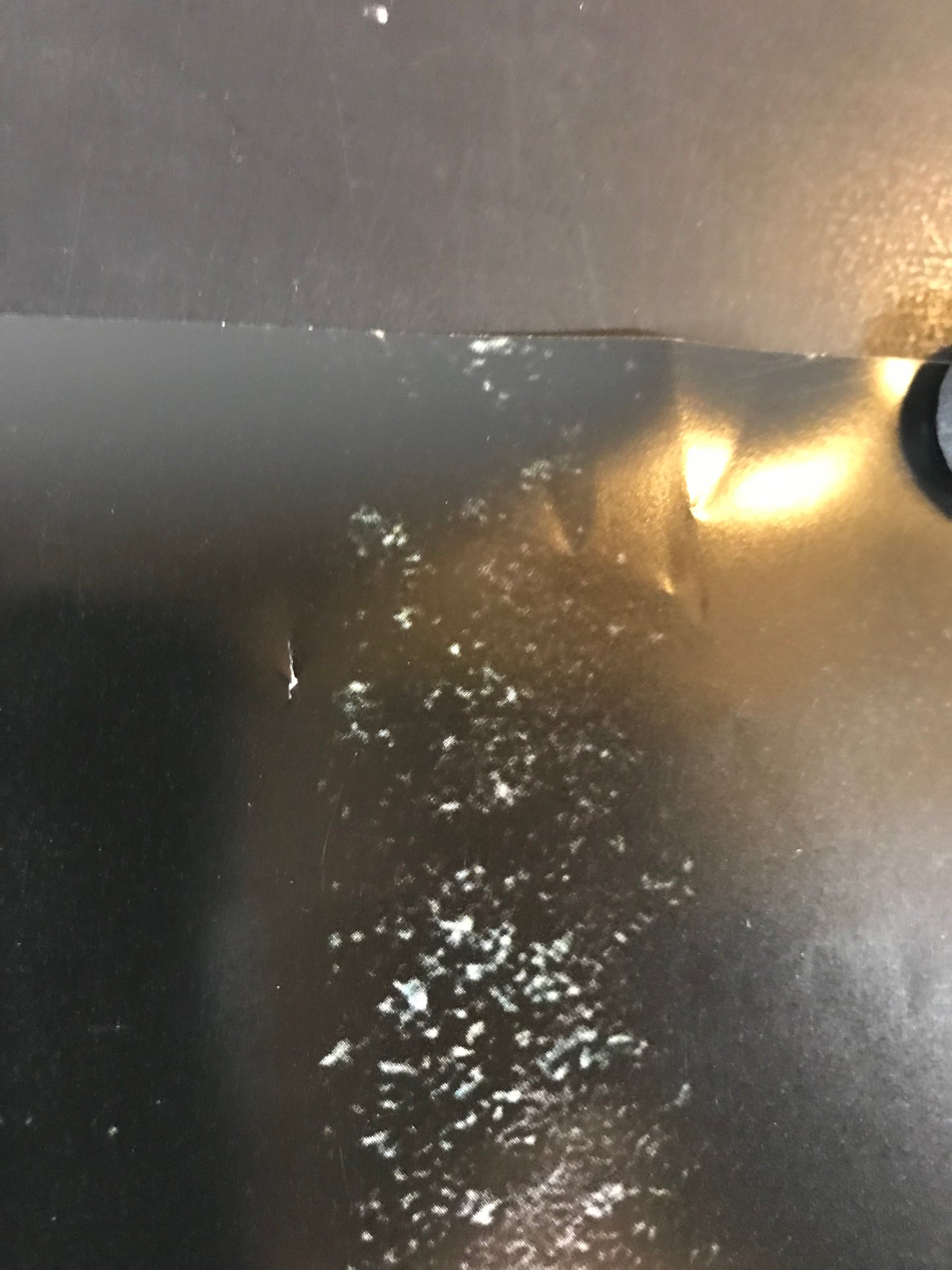 Woods Original One Sheet Teaser Poster 2016 Blair Witch Sequel Alternate Title