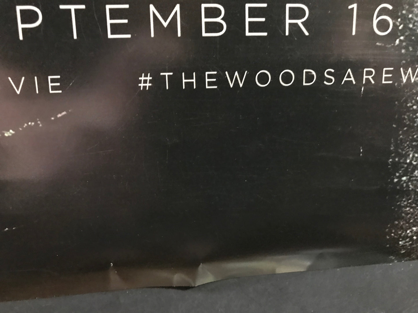 Woods Original One Sheet Teaser Poster 2016 Blair Witch Sequel Alternate Title