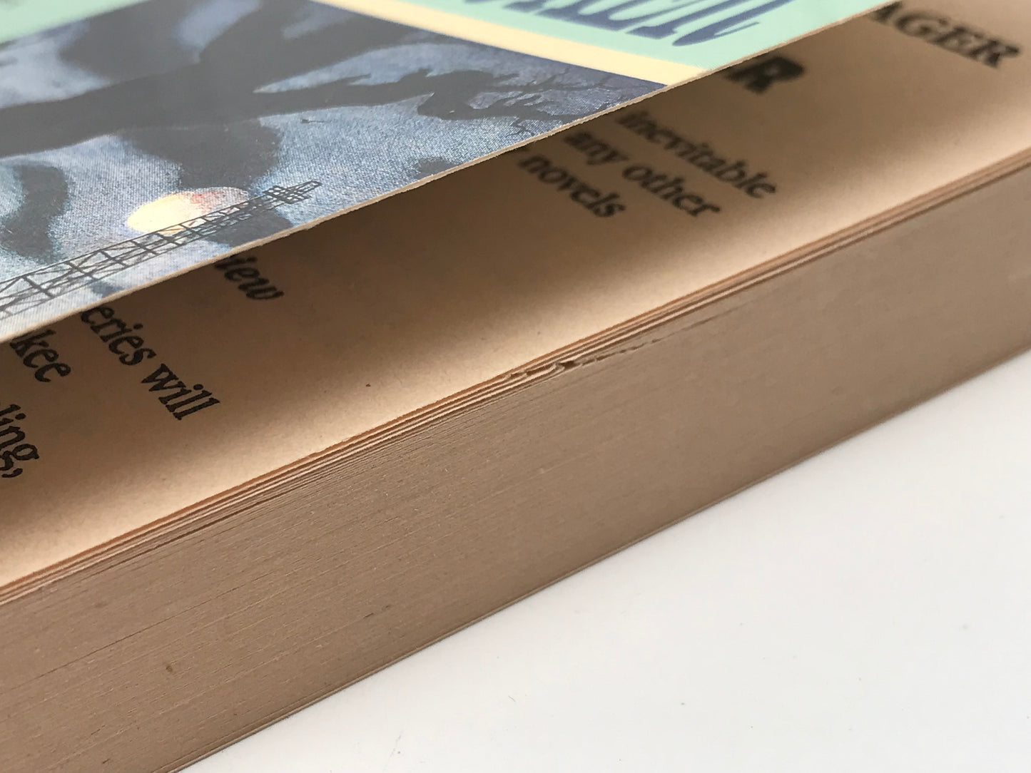 Ravenmocker MYSTERIOUS PRESS Paperback Jean Hager ACH01