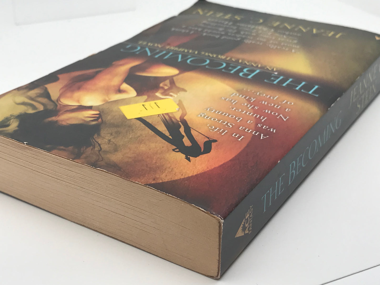 Becoming ACE Paperback Jeanne C. Stein SF03