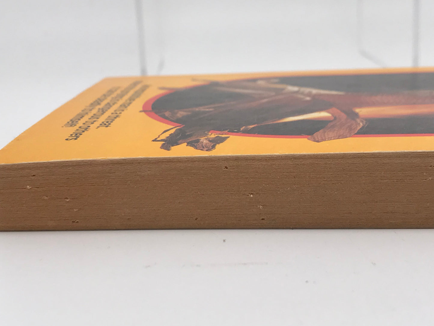 A Place Like Hessberg RAVEN HOUSE Paperback Charles Fleet H03