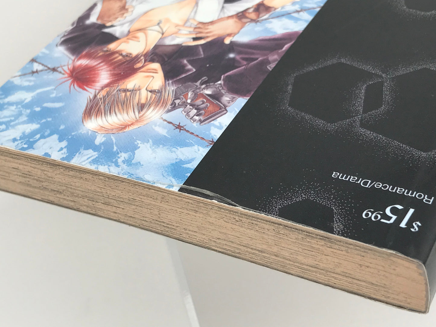 Finder Series 1: Target In The Finder BE BEAUTIFUL Manga Paperback English Yamane M01