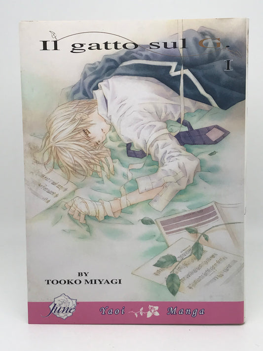 Il Gatto Sul G Vol. 1 DMP Manga Paperback English Miyagi M01