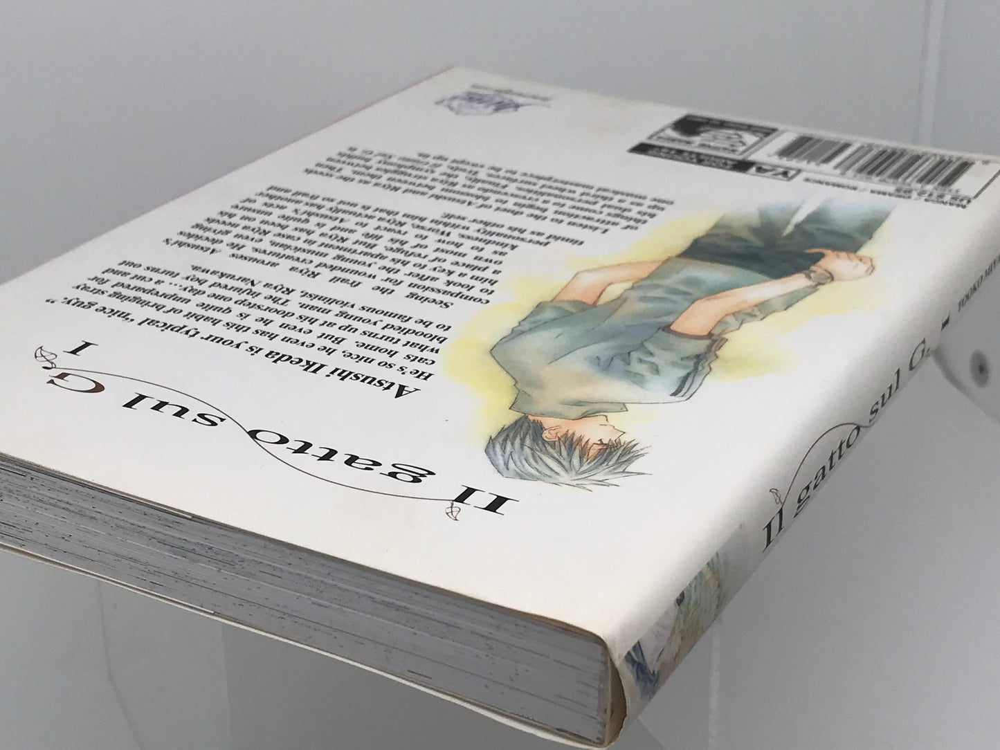 Il Gatto Sul G Vol. 1 DMP Manga Paperback English Miyagi M01