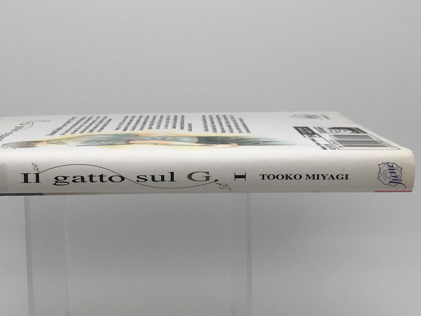 Il Gatto Sul G Vol. 1 DMP Manga Paperback English Miyagi M01