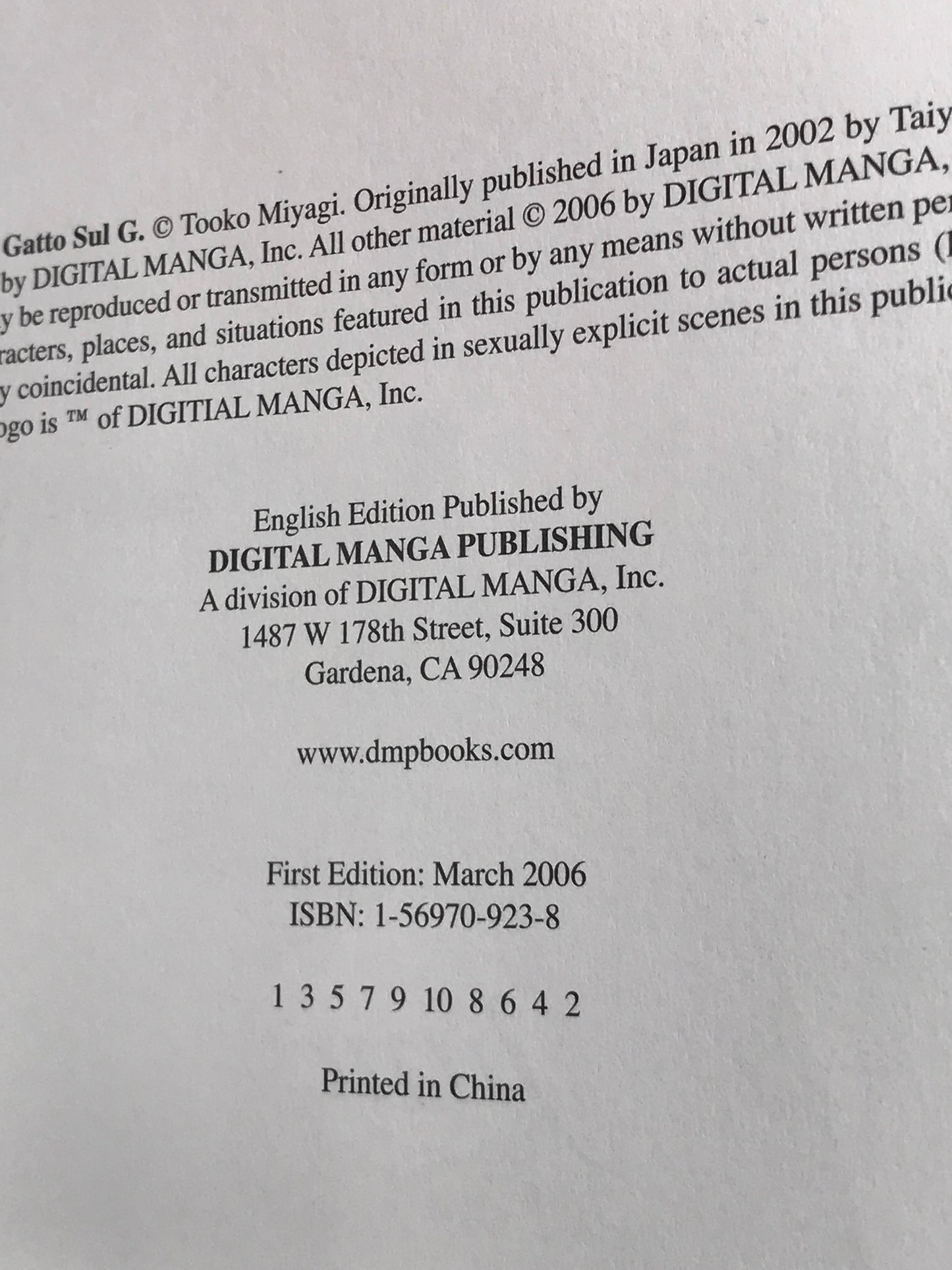 Il Gatto Sul G Vol. 1 DMP Manga Paperback English Miyagi M01