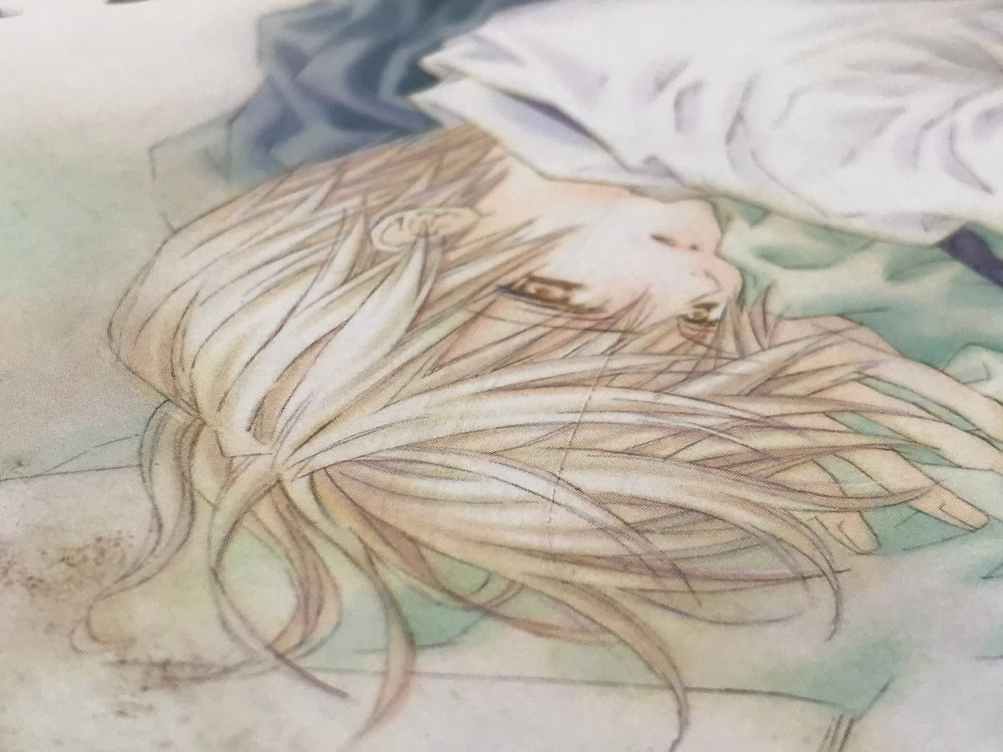 Il Gatto Sul G Vol. 1 DMP Manga Paperback English Miyagi M01