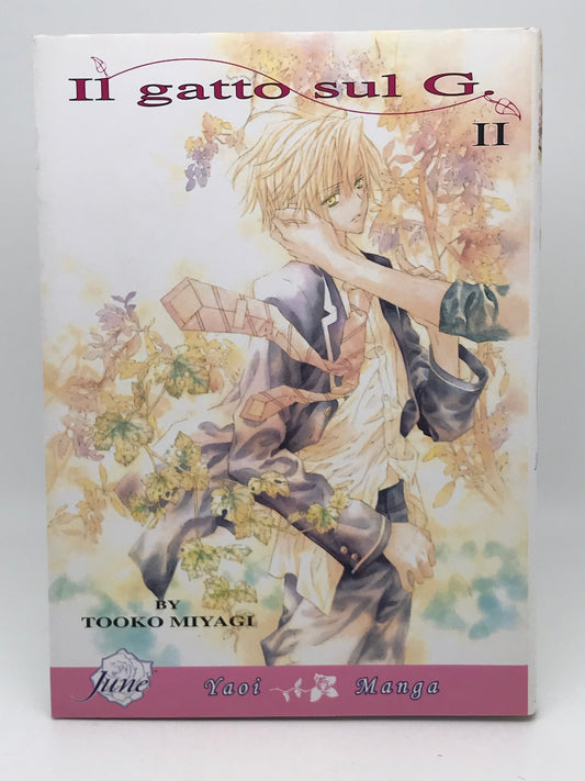 Il Gatto Sul G Vol. 2 DMP Manga Paperback English Miyagi M01