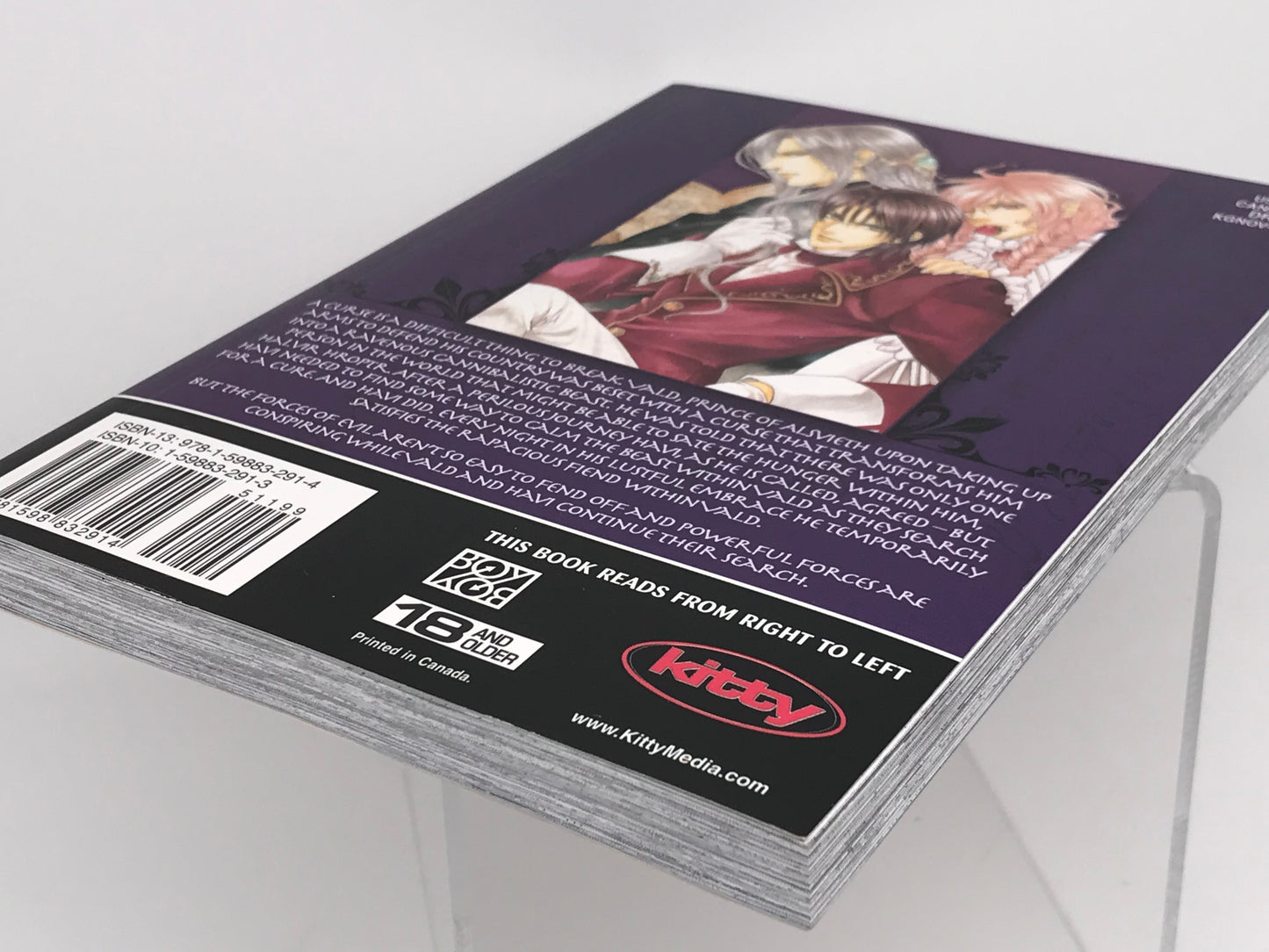 Crimson Spell Vol. 2 KITTY Manga Paperback English Yamane M01