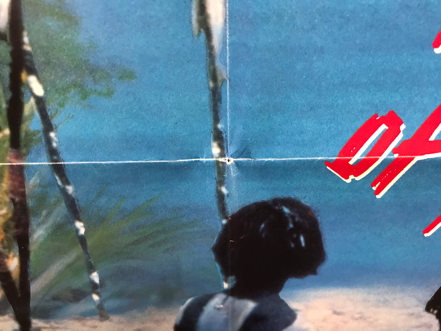 River Of Death Original One Sheet Poster 1989