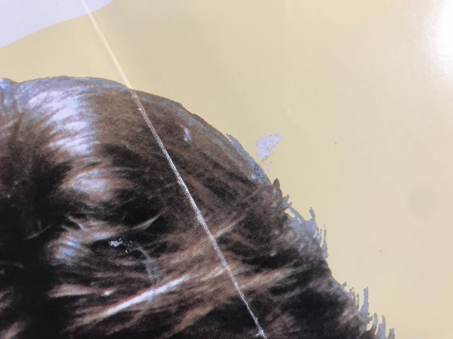 Tex Original One Sheet Poster 1982