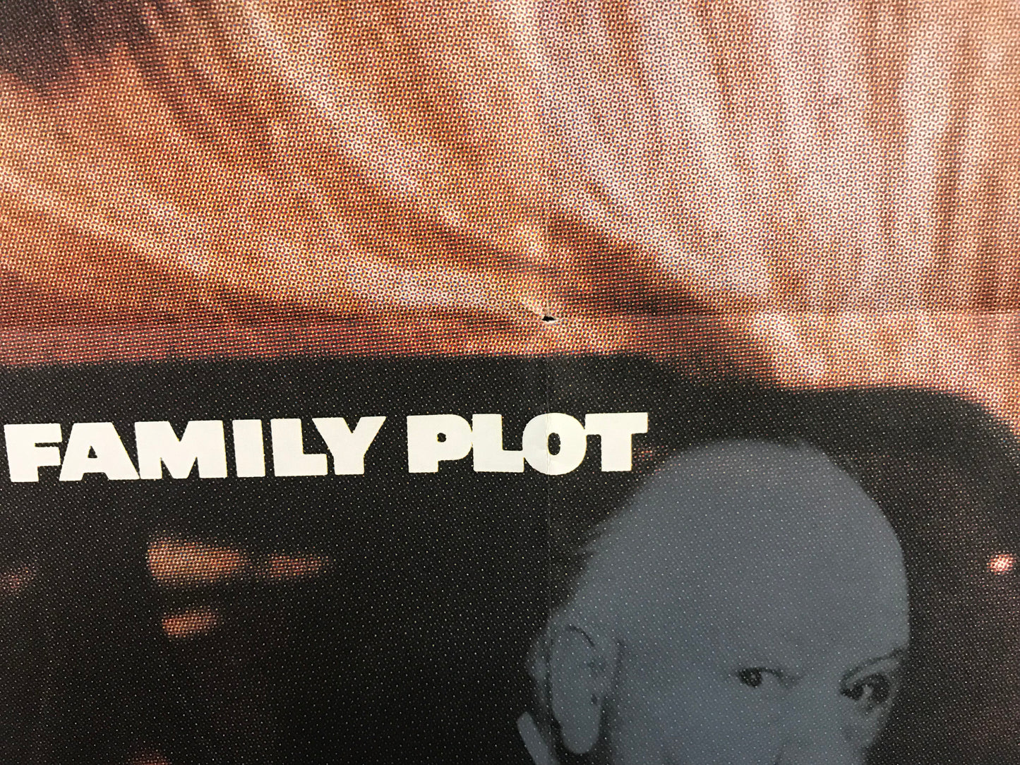 Family Plot Original Japanese B2 Poster 1982