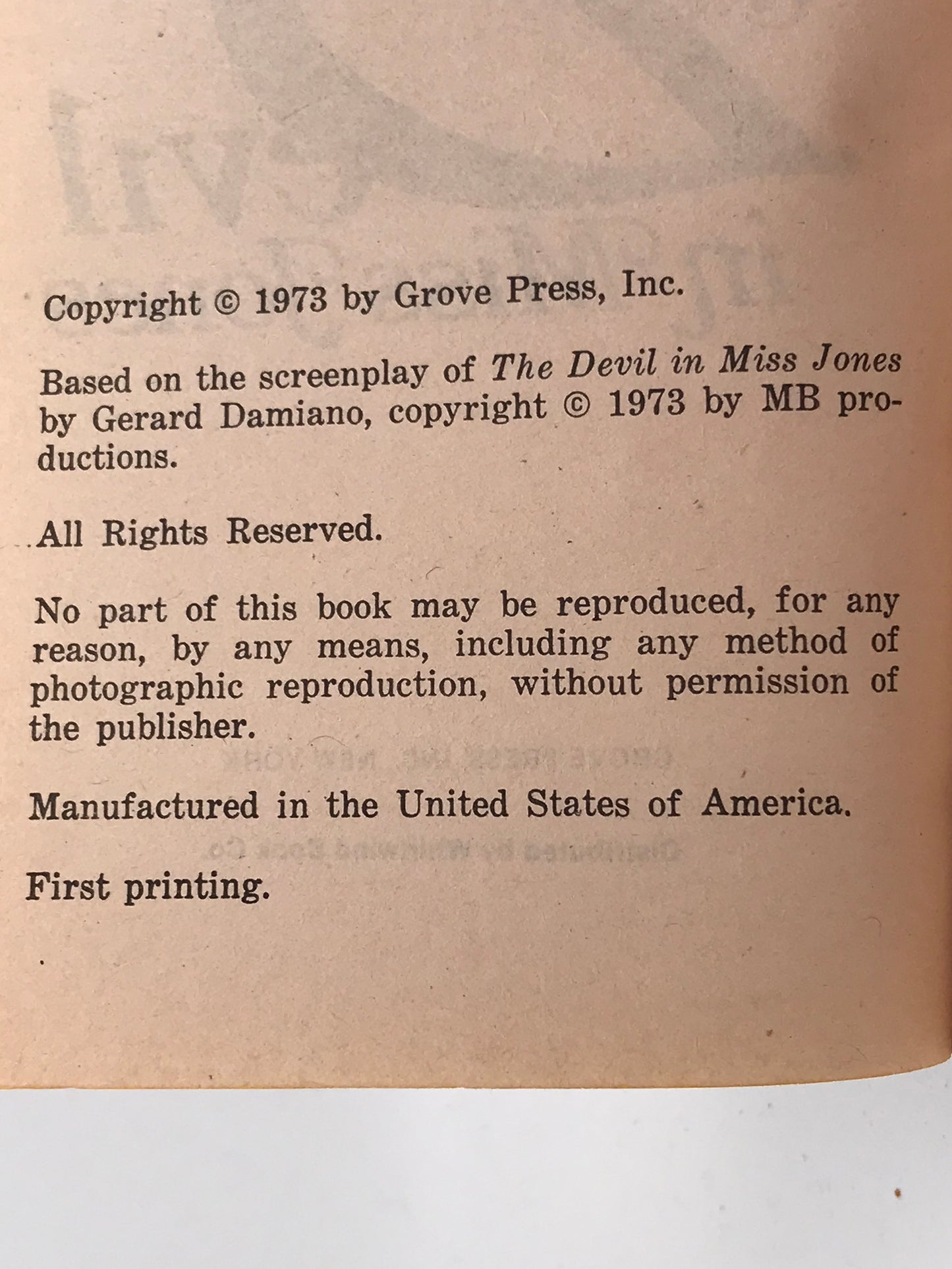 Devil In Miss Jones GROVE PRESS Paperback David Danziger A01