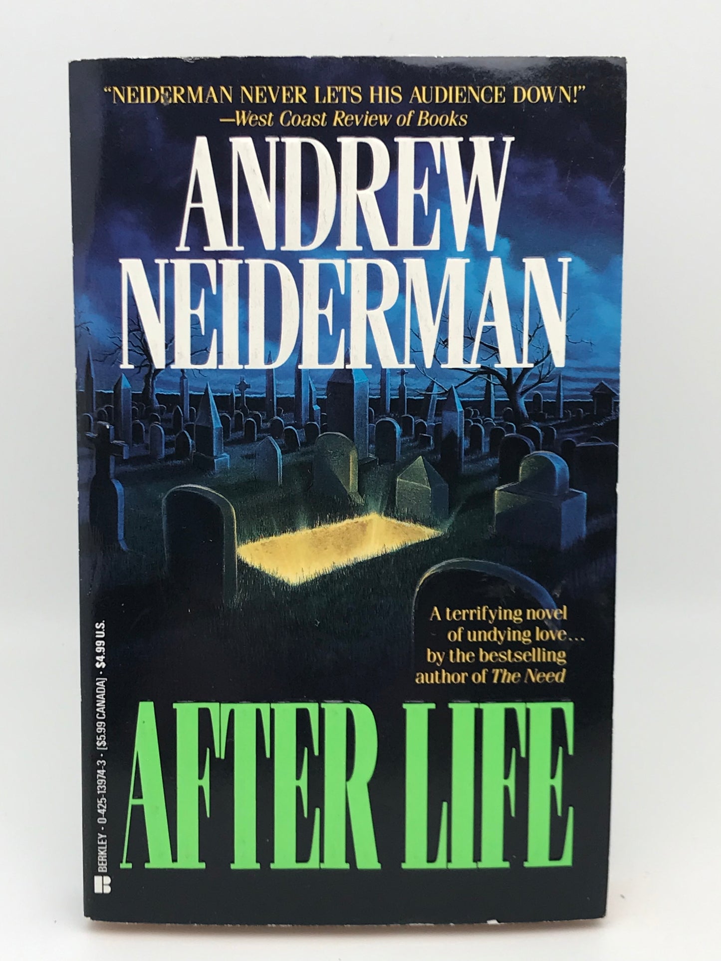 After Life BERKLEY Paperback Andrew Neiderman H02