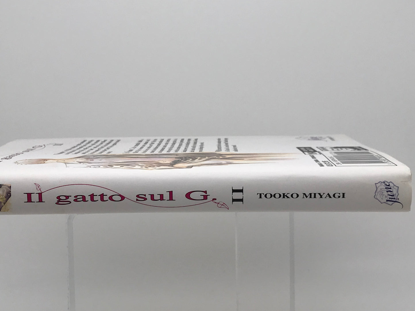 Il Gatto Sul G Vol. 2 DMP Manga Paperback English Miyagi M01